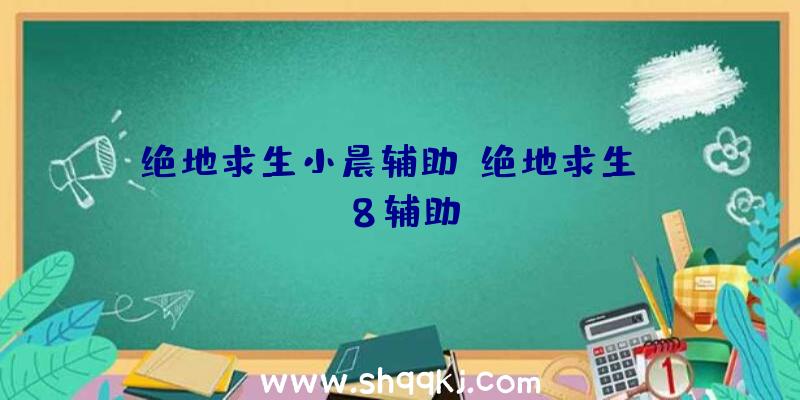 绝地求生小晨辅助、绝地求生